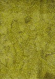 BA AU 1819 Sunset Range Patterned Tone on Tone, Yellow Green Dots and Dashes in Circles, Cotton for Patchwork and Quilting