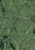 CAG 1009 Grey Green Curlicues