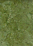 CAG 1025 FB Floral Boutique Mid Green with Olive Green Paisley Batik Cotton