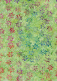 CAG 152 Lime with Orange Blue Purple Outline Small Star Flowers