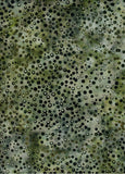 CAG 403H Green with Solid and Outlined Black Circles Hoffman Batik Fabric for Patchwork and Quilting