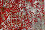 CAWBG 748 H Grey and Orange Rosette Flowers Cotton Batik Fabric by Hoffman Patchwork and Quilting