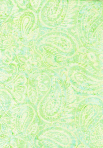 CAG 1011 Very Pale Green