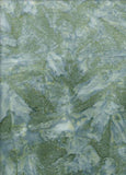 BA OMBRE  555 Mid Green to Light Green Graduation[.25 cm strip across Fabric per unit]