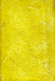 BAAL 862 Acid Yellow Grevillea Native Brights