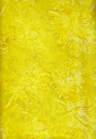 BAAL 862 Acid Yellow Grevillea Native Brights