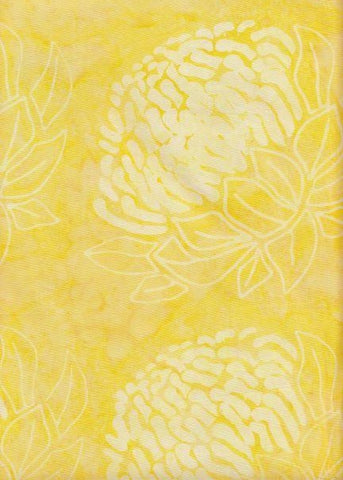 BAAL 1030 Yellow Waratah   Australian Country Floral