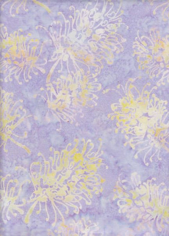 BAAL 1038 Purple Yellow Grevillea Australian Country Floral
