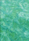 BA OMBRE 590 Spring Green to Light Green Graduation [25cm Strip across the fabric]