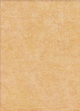 CACB 442 Tan Cream Mottle Texture Anthology Batiks
